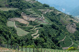 High Altitude Fields/Nantou County