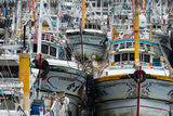 Crowded Fishing Harbour