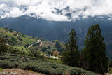 Fields In Taitung County