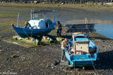 Boat Maintenance At Low Tide