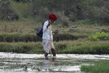 Wading
