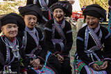 Betel Nut Smiles