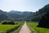 The Road