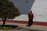 White Wall Monk & Tree