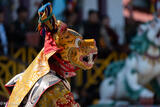 Tiger Head Masked Monk