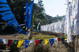 Prayer Flags On The Lake Shore