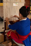 Carpet Weaver
