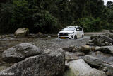 The Ford