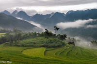 N. Vietnam