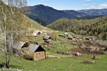 Log Cabin Hamlet