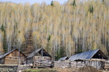 Xinjiang