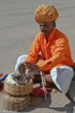 Snake Charmer