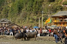 On The Retreat At A Bullfight