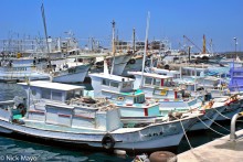 Fishing Boats In Port