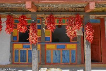 Chillies Drying