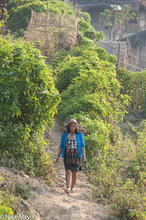 Akha Erpa Woman Heading To The Fields