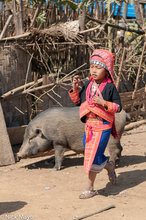 Small Loma Girl & Pig