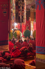 Young Monks In The Assembly Hall