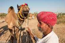 Camel & Owner At The Mallinath Fair