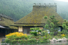 Thatched House In Rain