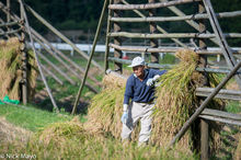 Farmer & Rice Drying Rack