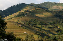 Rice Terraces At Sunset