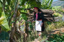 Black Dao Woman Carrying Firewood