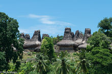 Village Of Peaked Roof Houses