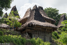 Peaked Roof Houses