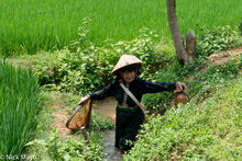 Black Thai Woman With Fishing Net