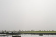 Rice Planting On The Kengtung Plain