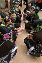 Seven Girls