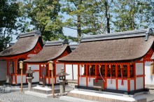 Thatched Shrines