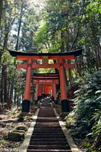 Torii Staircase On Inari-san