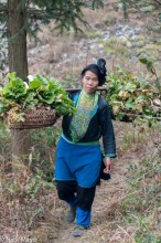 Woman Carrying Home Vegetables