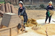 Threshing In The School Yard