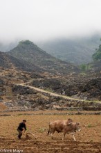 Farmer Ploughing On A Foggy Day