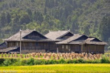 Stooks & Houses