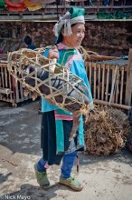 Woman Carrying Pig