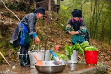 Washing The Vegetables