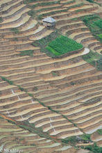 Flooded Rice Terraces Before Planting