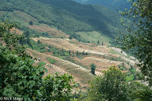 Valley Of Freshly Flooded Terraces