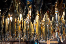 Drying Salmon