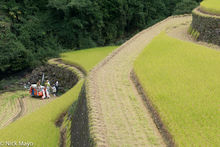 Farmers With Their Rice Harvester