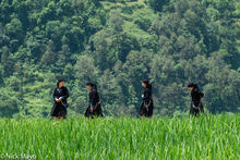 Four Girls Walking To The Ceremony