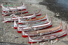 Tao Canoes