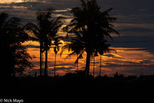 A Summer Evening