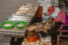 The Fish Vendor