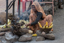 Corn Vendor