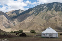 Herders' Camp